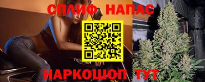 ГАЛЛЮЦИНОГЕННЫЕ ГРИБЫ Кинель