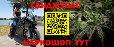 трава Кингисепп