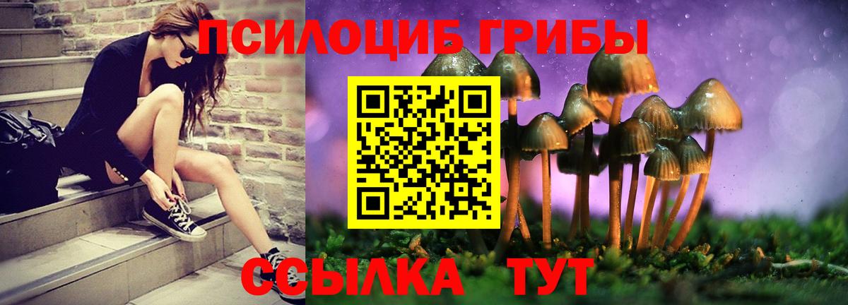 Псилоцибиновые грибы Psilocybine cubensis Кушва